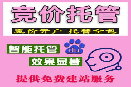 百度SEO推广案例：优化策略与效果对比
